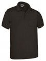 POLO CALIFORNIA