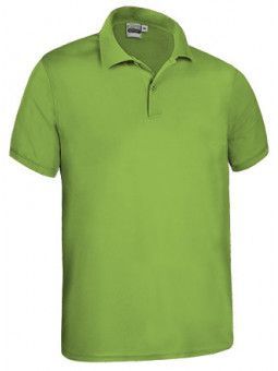 POLO KENTUCKY