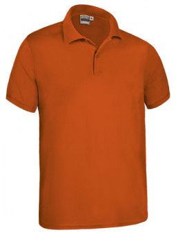 POLO KENTUCKY