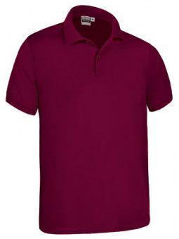 POLO KENTUCKY