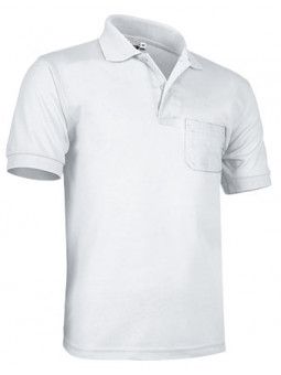 POLO HANK