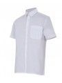 CAMISA MANGA CORTA